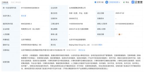 北京數(shù)據(jù)集團(tuán)正式揭牌成立，為數(shù)據(jù)處理服務(wù)注入新動(dòng)力